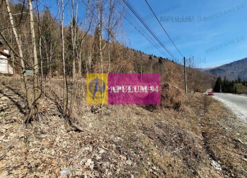 Teren Intravilan de Vanzare Sinaia